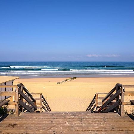 La Cabane Maddyblue 5 Min A Pieds De L'Ocean Et Commerce Mimizan-Plage Exteriör bild